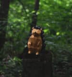 Papercraft de hérisson en origami 3D