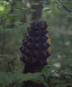 Papercraft de hérisson en origami 3D