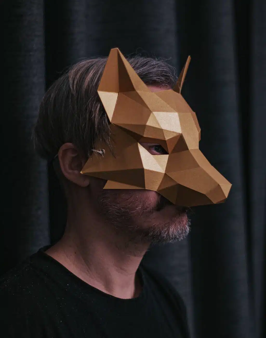 Vosmasker origami 3D, weergave 2