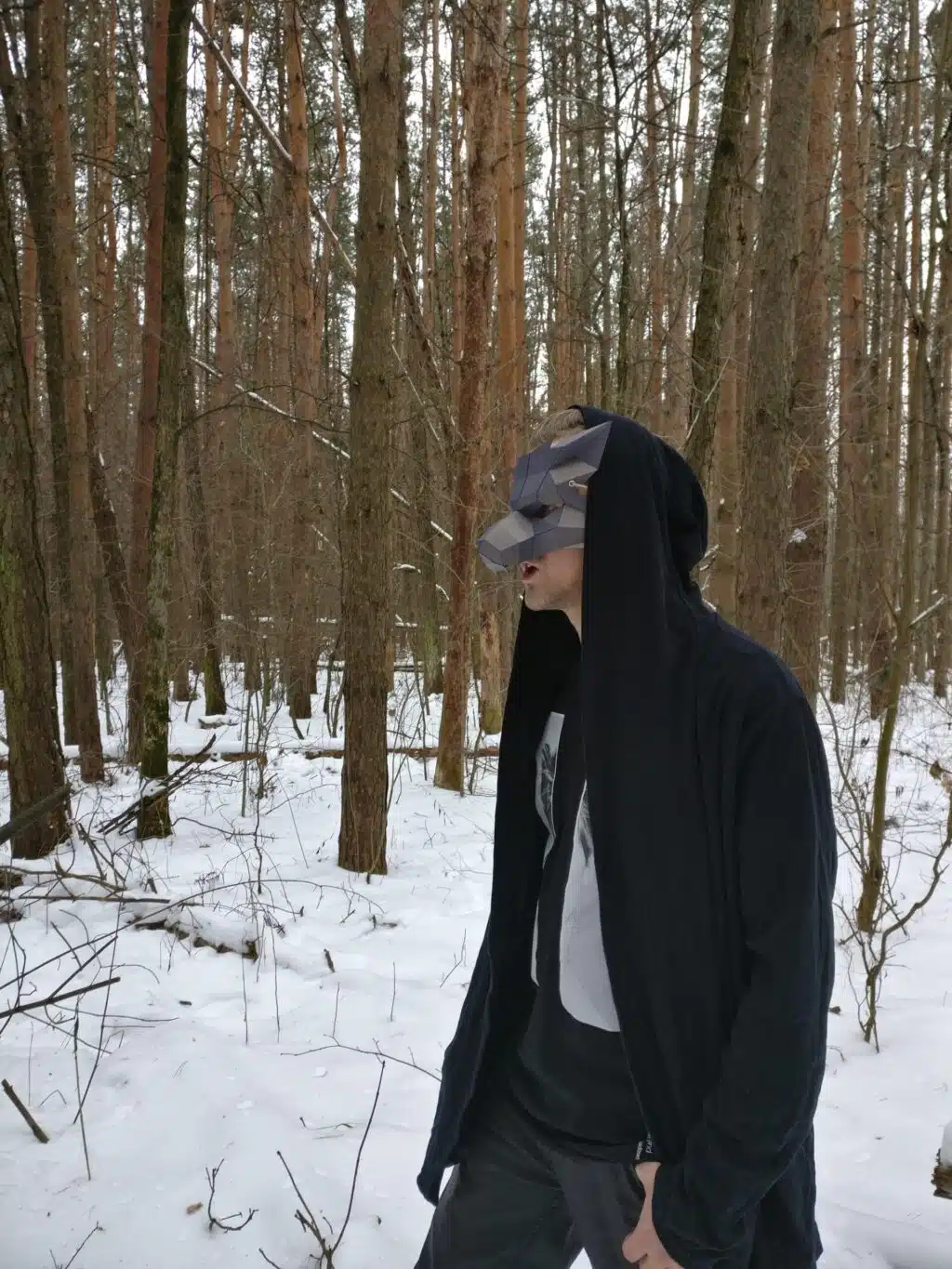 Wolfsmasker in 3D-origami, weergave 4