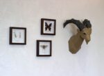 Papercraft Steinbock als 3D-Origami