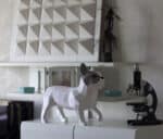 Papercraft französische Bulldogge in 3D-Origami