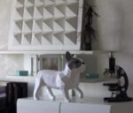 Papercraft di bouledogue francese in origami 3D