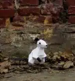 Rat papercraft 3D origami, weergave 4