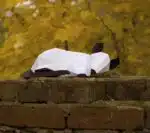 Origami 3D rat voor Chinees Nieuwjaar, weergave 3