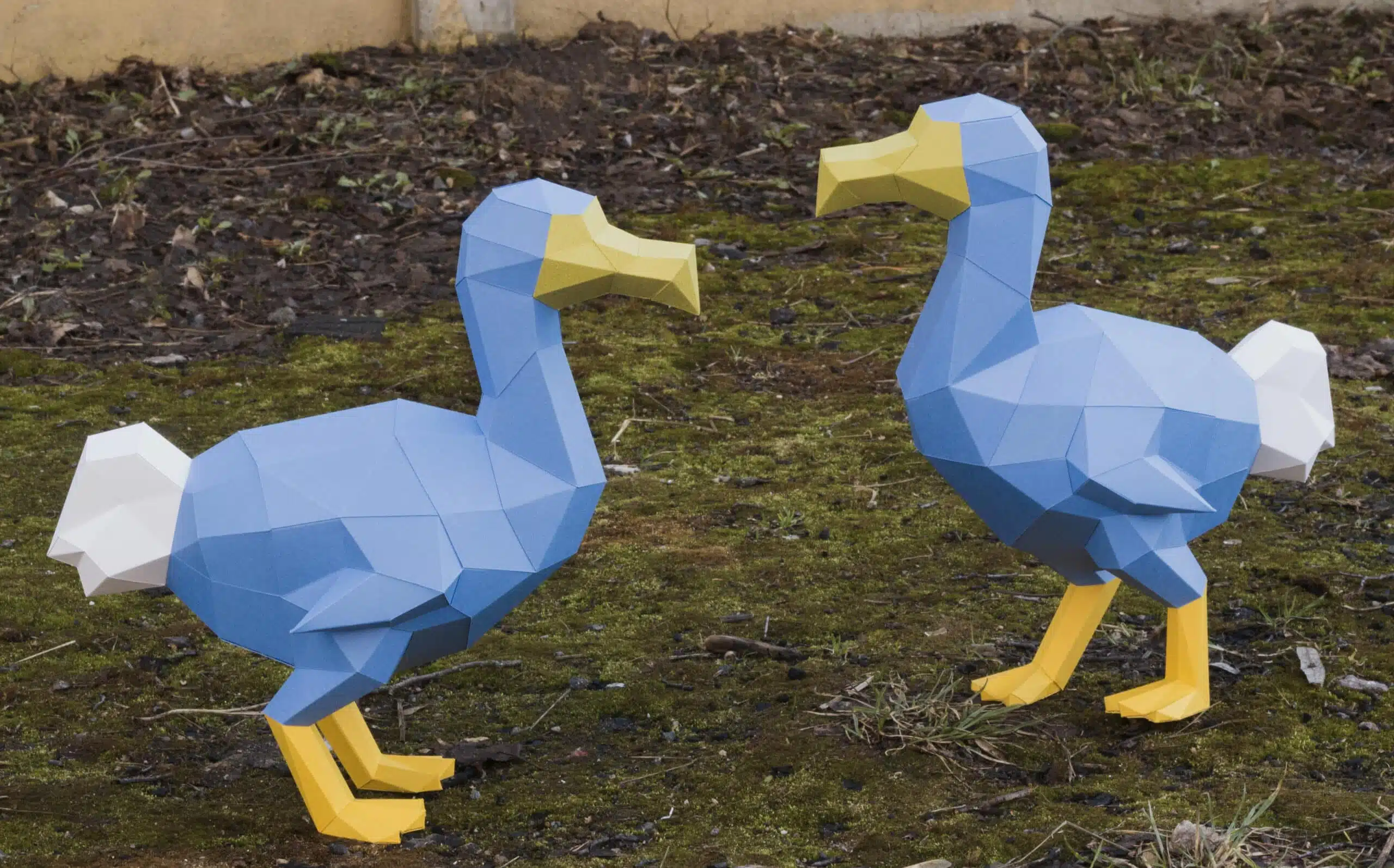 Papercraft de dodo en origami 3D, vue 5