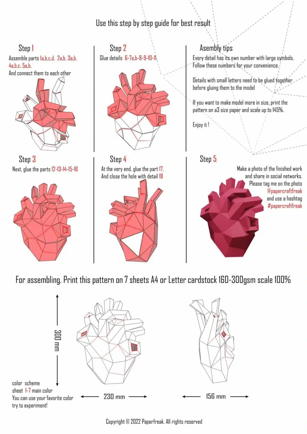 Hart anatomisch papercraft 3D origami, weergave 3