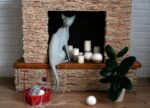 Papercraft di gatto orientale in origami 3D