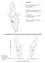 Papercraft de jirafa en origami 3D