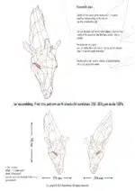Giraf moeder en kind papercraft, weergave 4