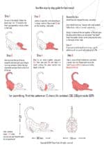 Papercraft of stretching cat in 3D origami