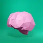 Hersenen in 3D-origami papercraft, weergave 7