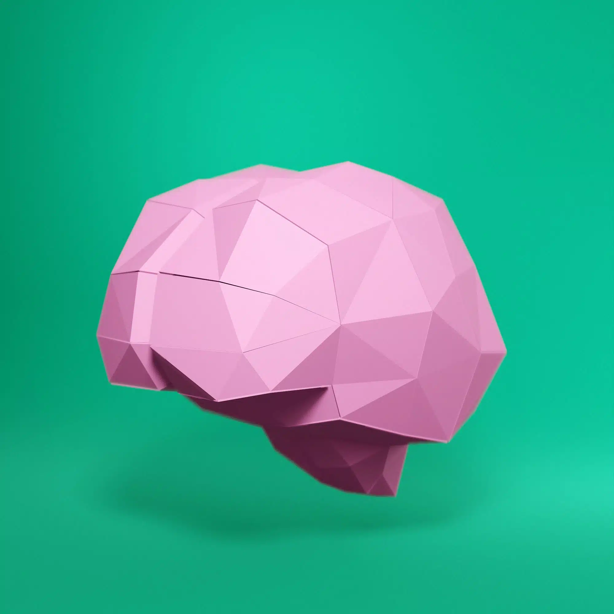 Hersenen in 3D-origami papercraft, weergave 7