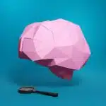 Hersenen in 3D-origami papercraft, weergave 6