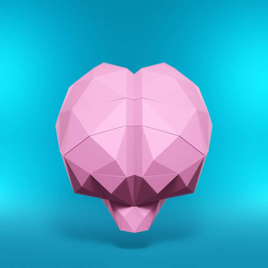 Papercraft of human brain in origami 3D