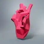 Hart anatomisch papercraft 3D origami, weergave 2