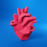 Papercraft anatomical heart in origami 3D