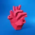 Hart anatomisch papercraft 3D origami, weergave 5