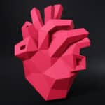 Papercraft anatomical heart in origami 3D