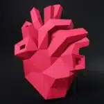 Hart anatomisch papercraft 3D origami, weergave 4