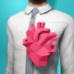Papercraft anatomical heart in origami 3D