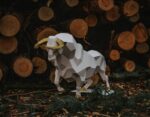 Grande touro em papercraft 3D
