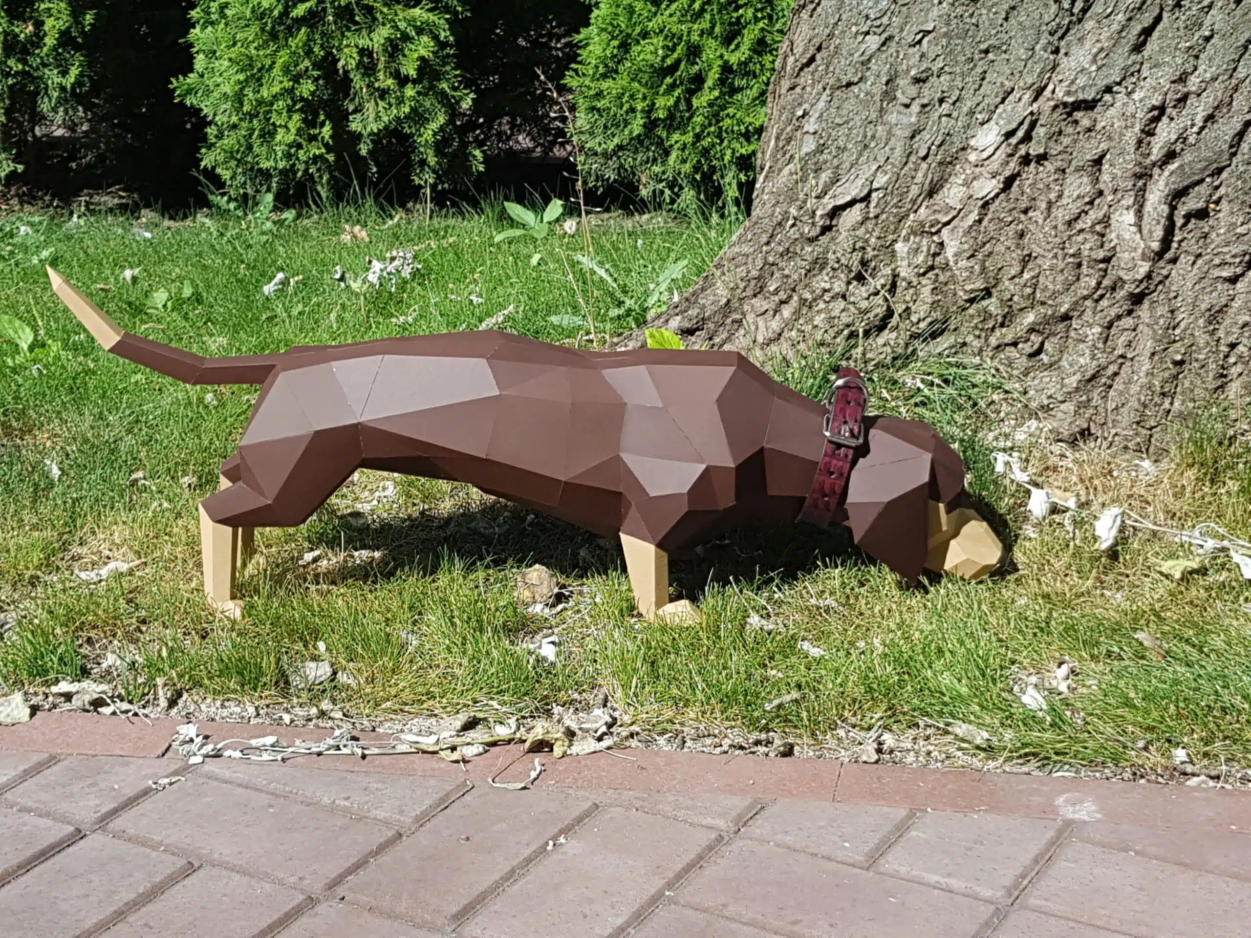 Dachshund papercraft 3D, weergave 7