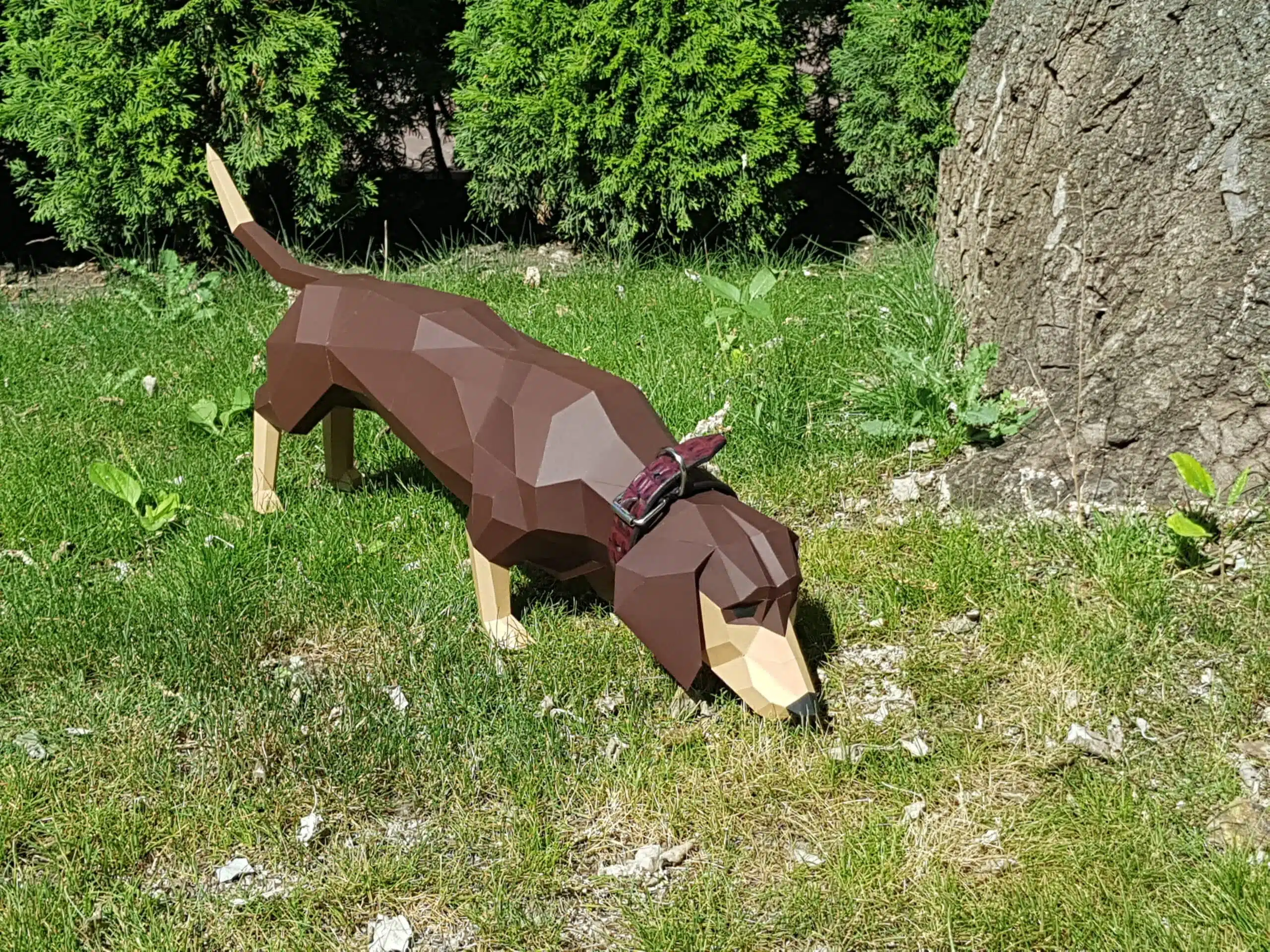 Dachshund papercraft 3D, weergave 6