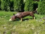 Dachshund papercraft 3D, weergave 5