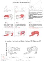 Panthère en papercraft 3D