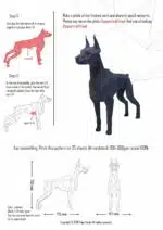 Doberman papercraft 3D in blauw arduin, weergave 3