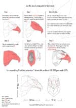 Papercraft eagle head in 3D origami