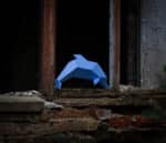 Papercraft de delfín en origami 3D