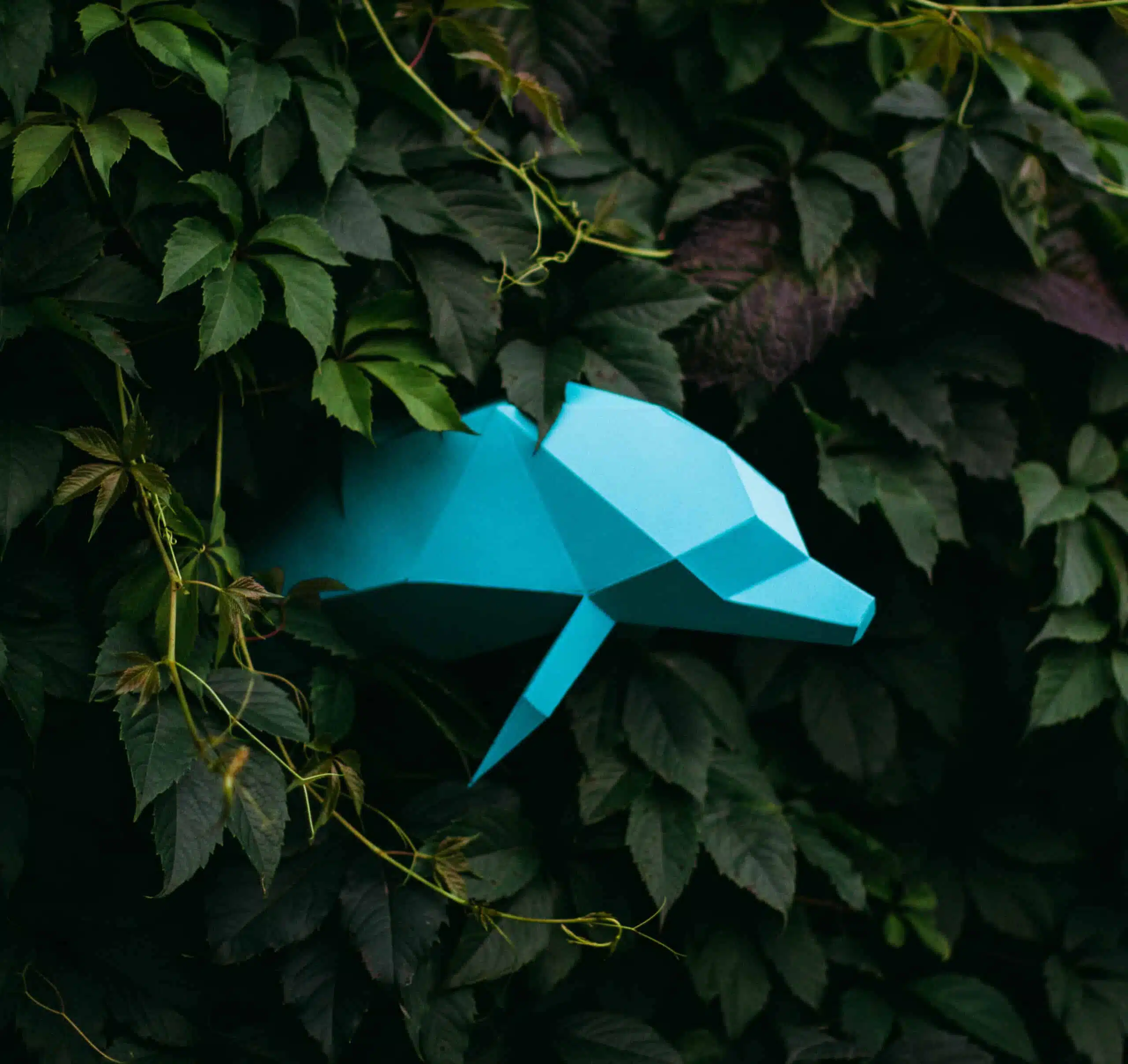 Dolfijn 3D papercraft origami, weergave 7