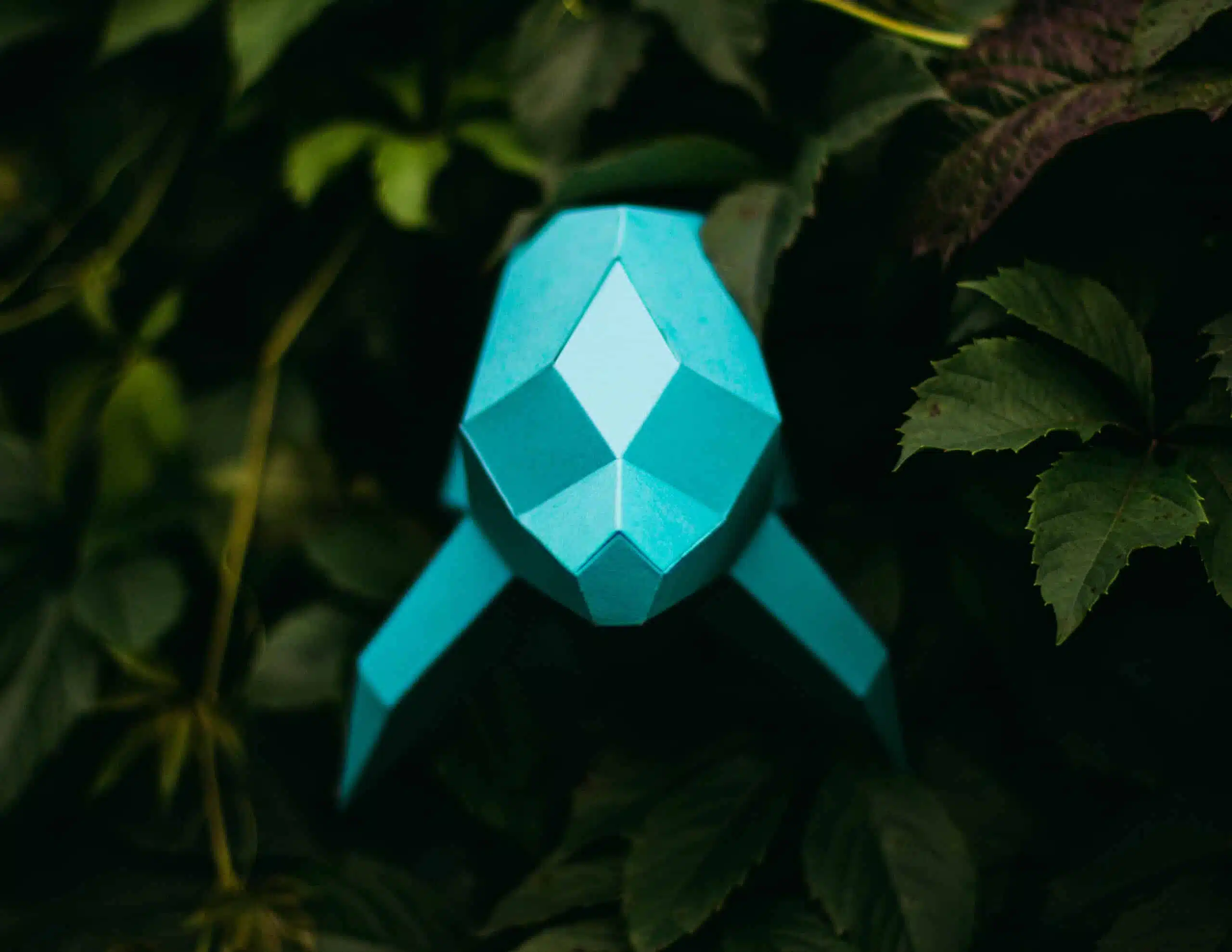 Dolfijn 3D papercraft origami, weergave 6