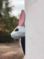 Coniglio in costume in papercraft 3D