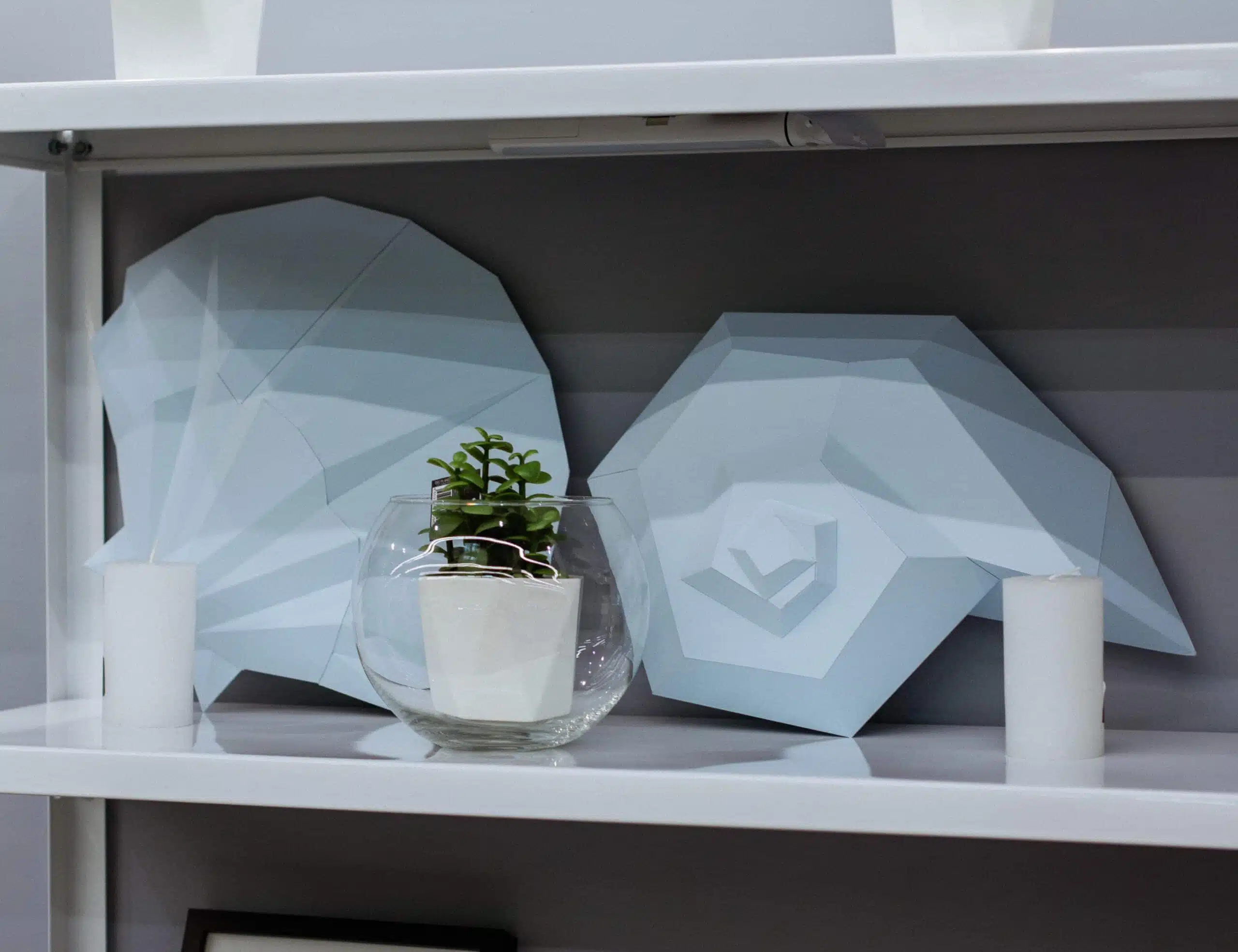 Papercraft 3D schelpen in papier, weergave 8
