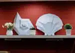 Papercraft 3D schelpen in papier, 3D-model