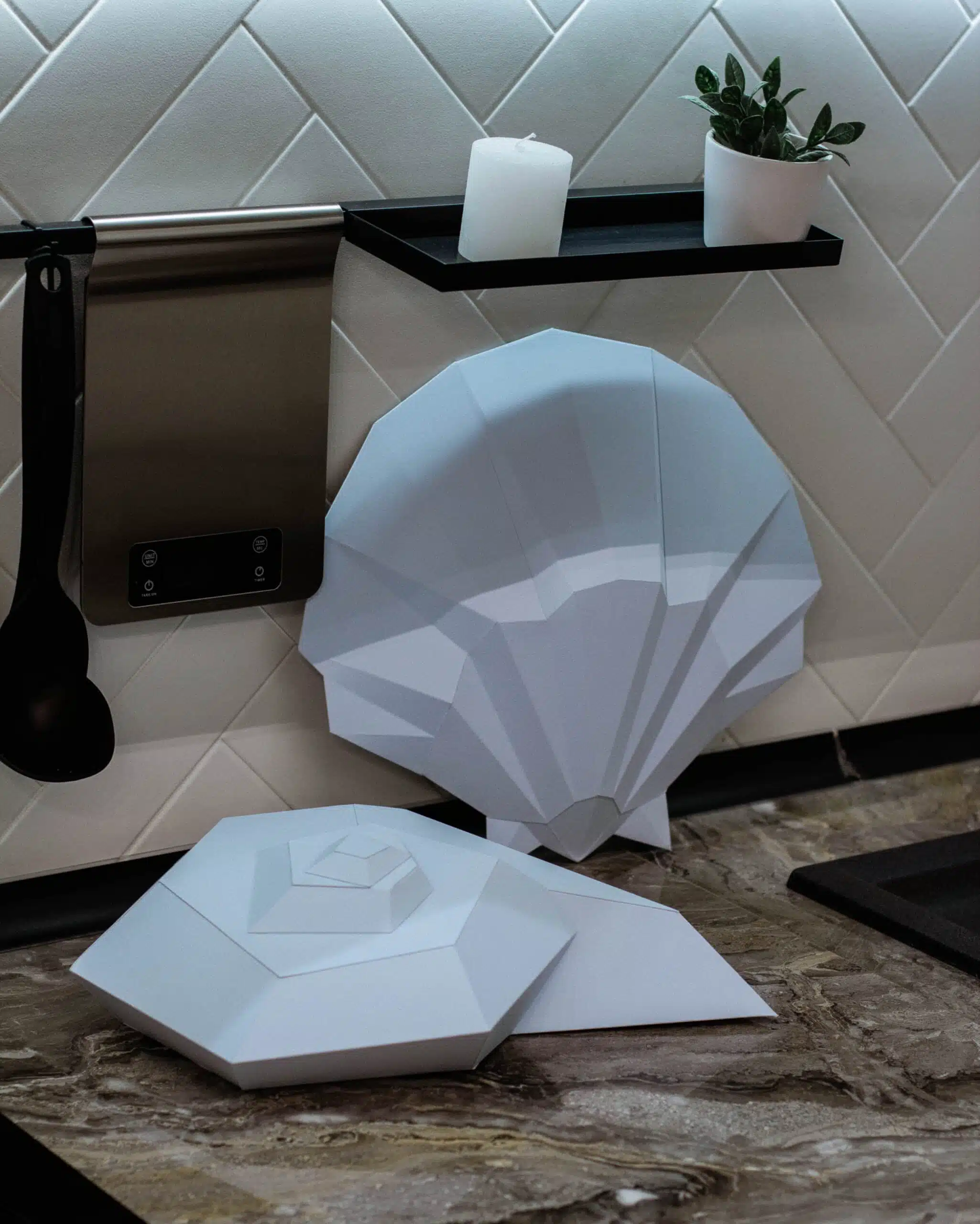 Papercraft 3D schelpen in papier, weergave 6