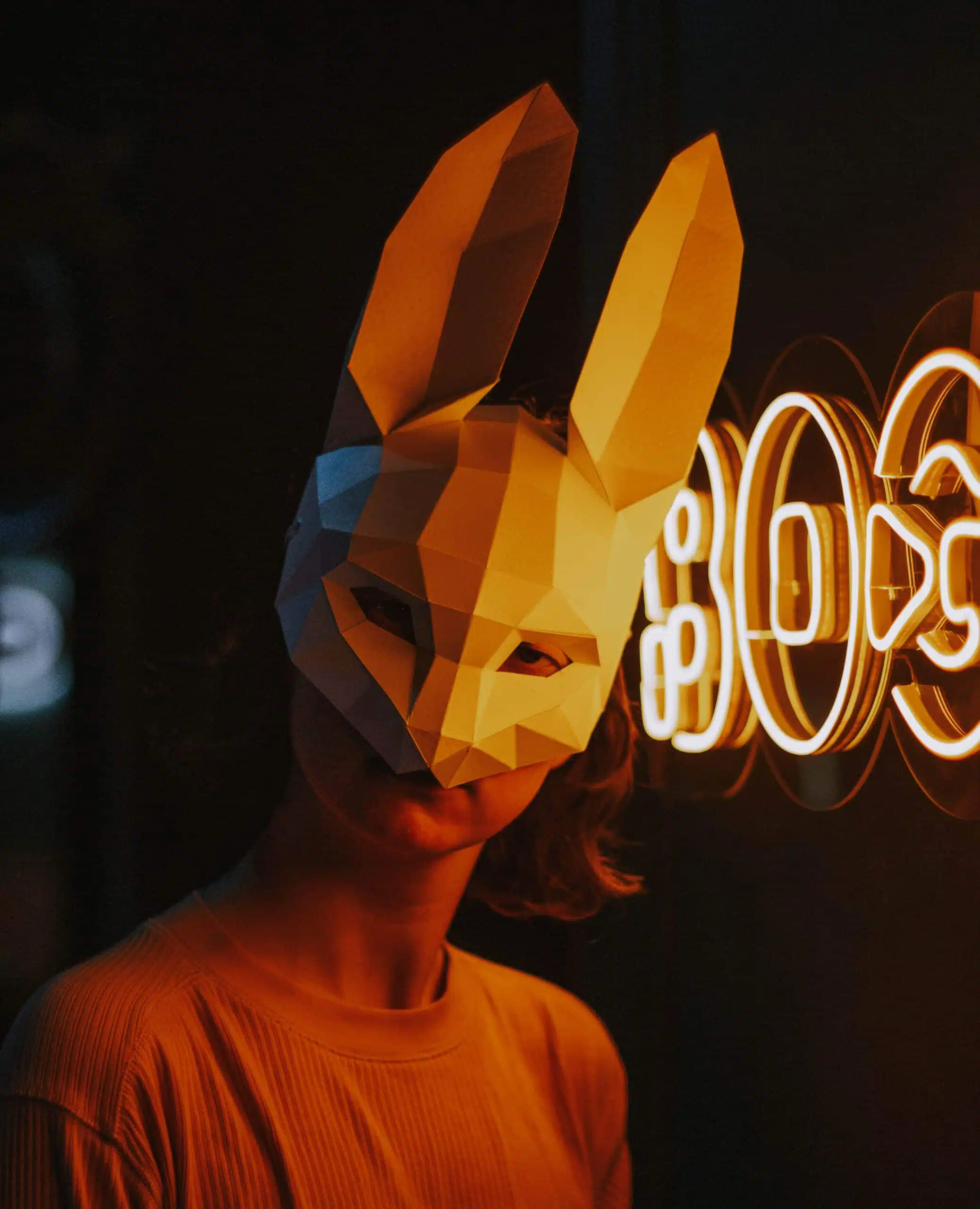 3D papercraft konijnenmasker, weergave 5