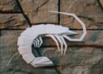 Crevette en papercraft 3D