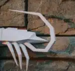 Garnalen papercraft 3D, weergave 7