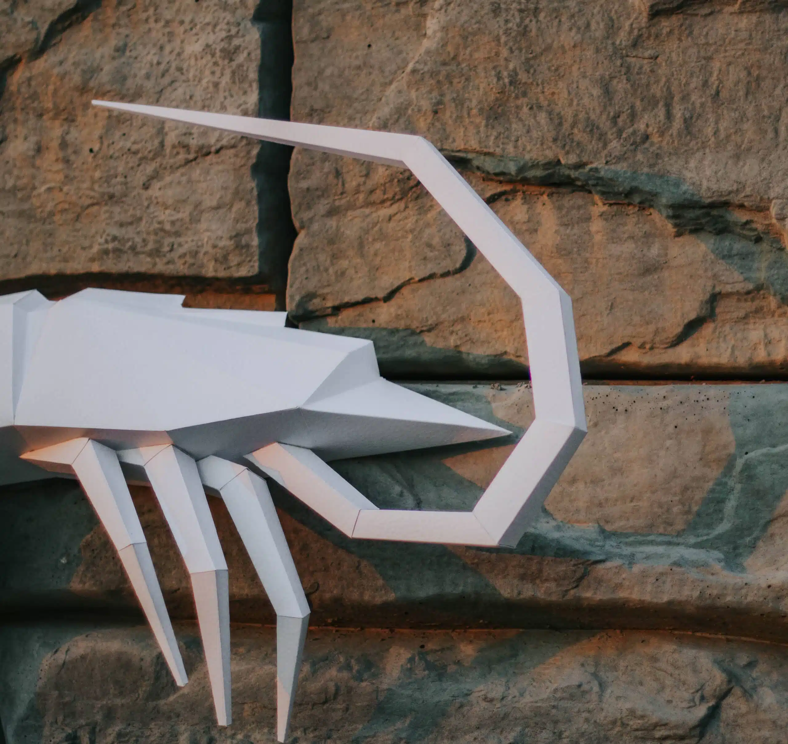 Garnalen papercraft 3D, weergave 7