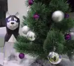 Husky sentado en papercraft 3D