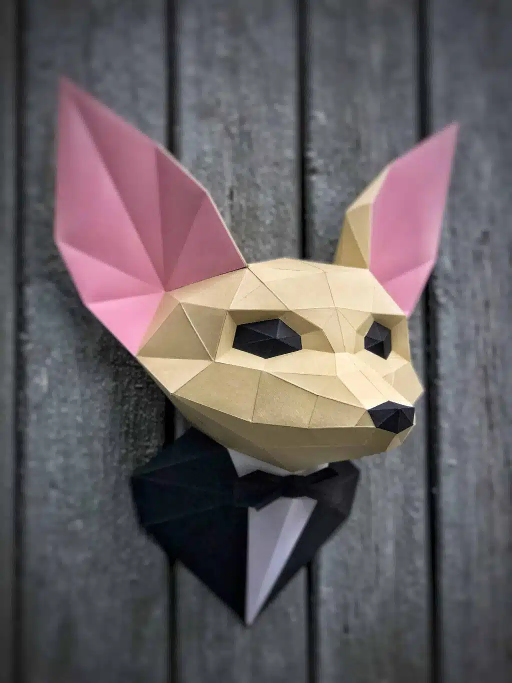 Volpe fennec in costume papercraft 3D