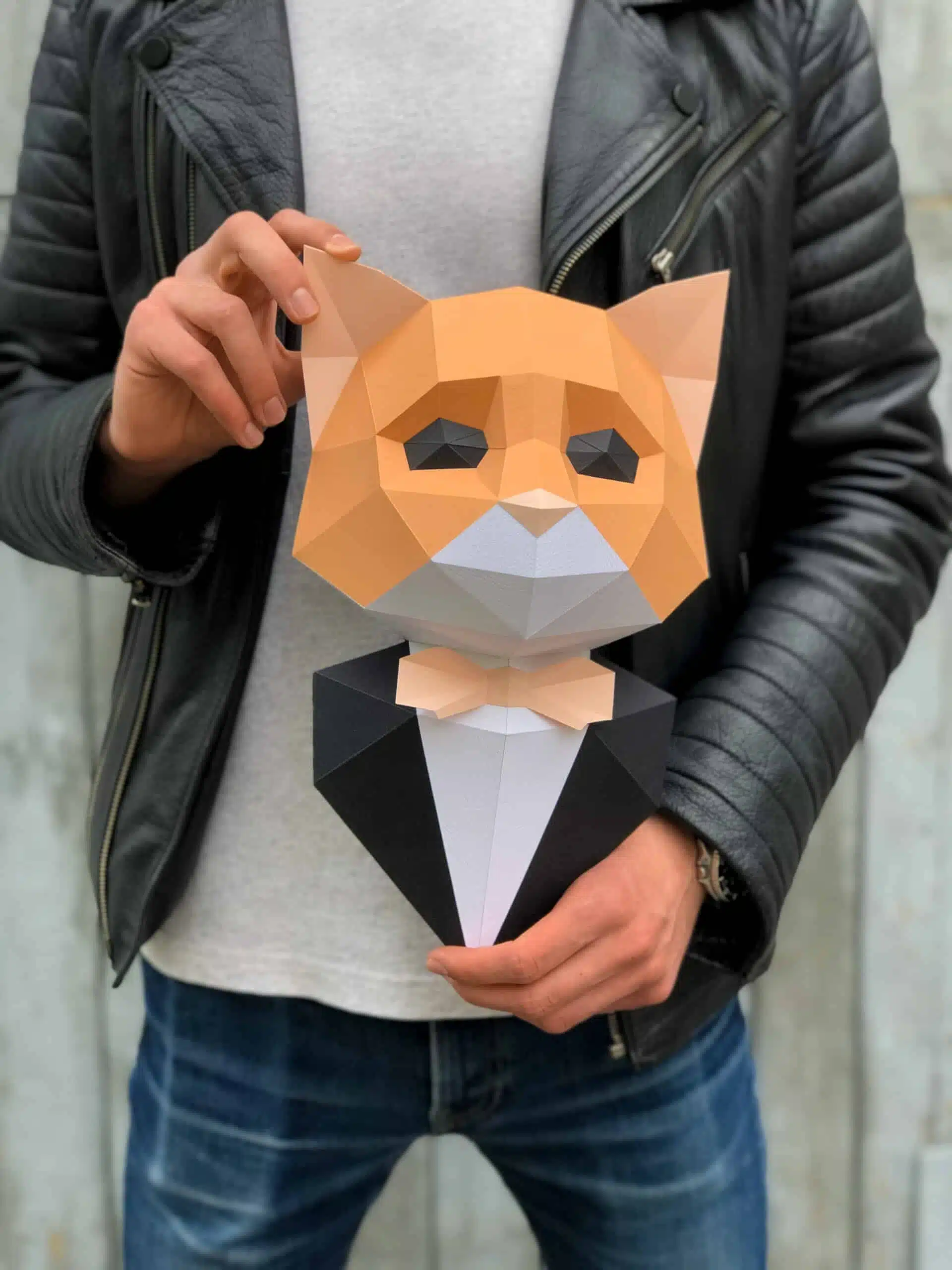 Kat in pak papercraft 3D, weergave 7