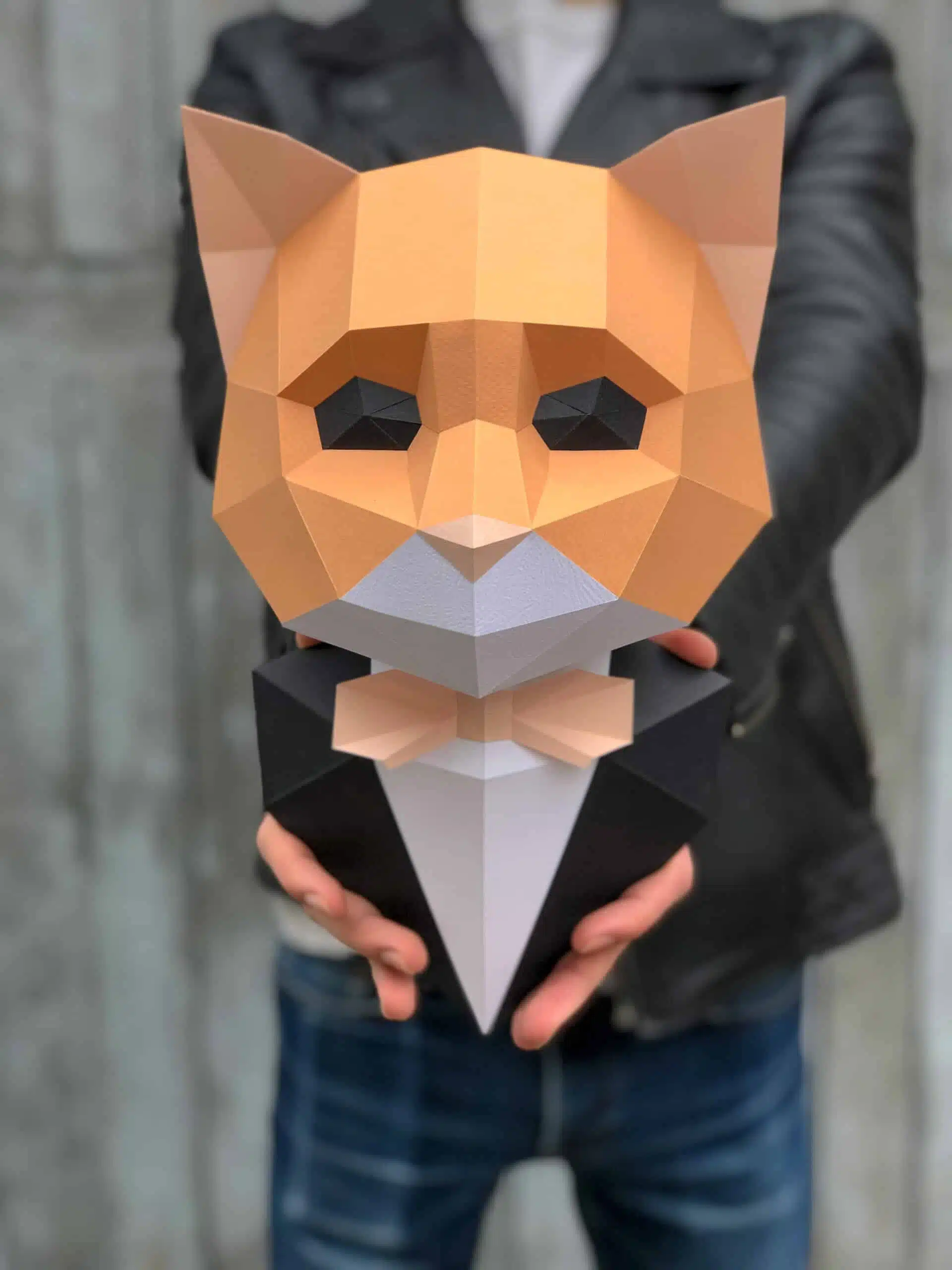 Kat in pak papercraft 3D, weergave 6