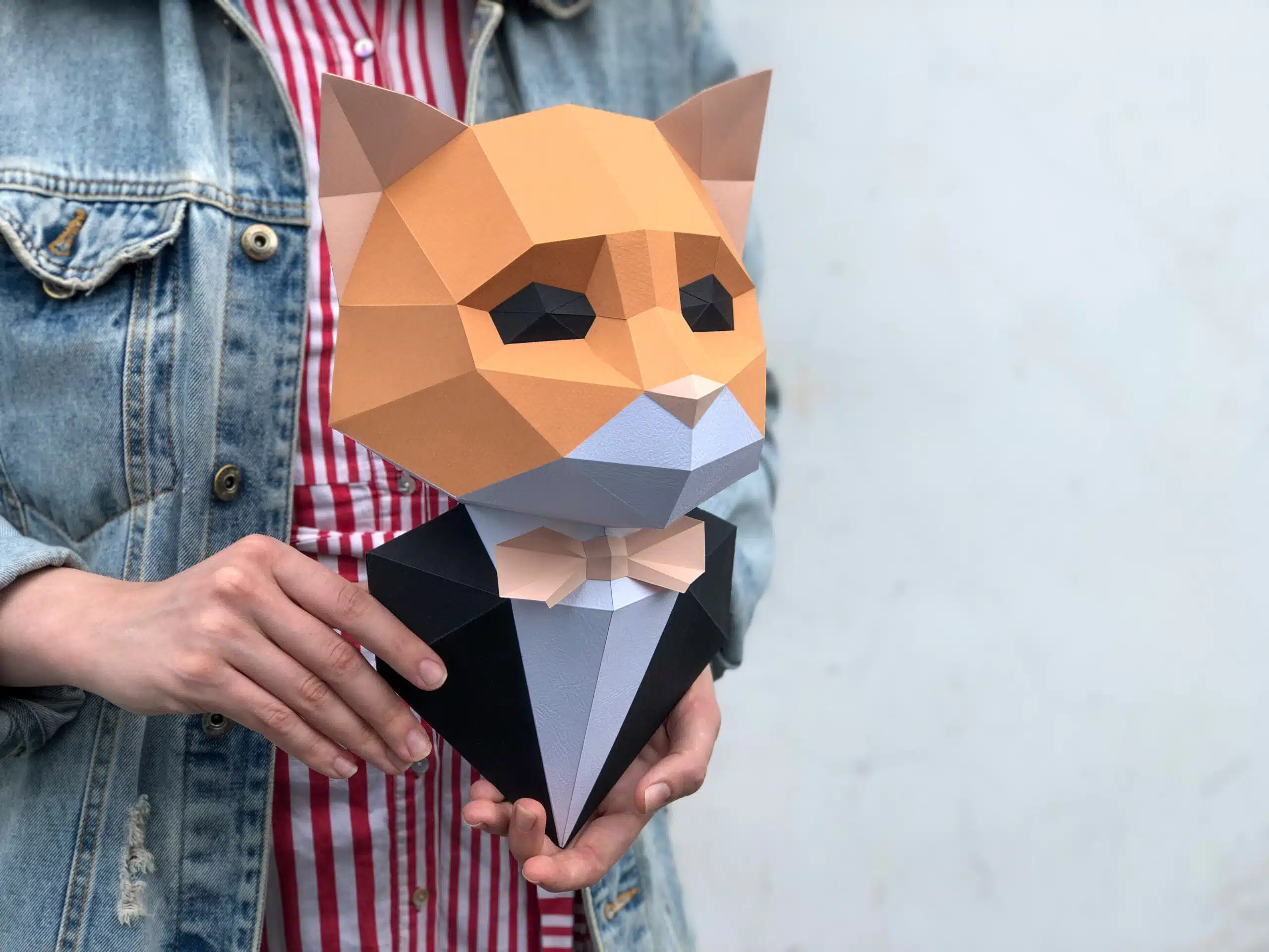 Kat in pak papercraft 3D, weergave 5