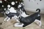 3D Husky papercraft, weergave 9