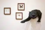 3D-papercraft panter voor aan de muur, weergave 4